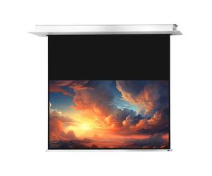 celexon Ceiling Recessed Electric Professional Plus Projector Screen 300 x 169 cm