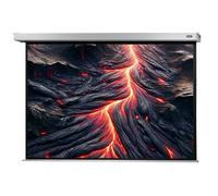 Celexon Electric Professional Plus Screen 220 x 165 cm