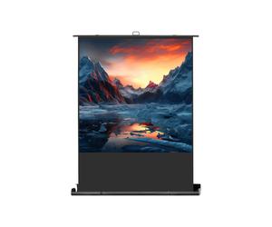 celexon Mobile Professional Plus Projector screen 160 x 160 cm - 89"