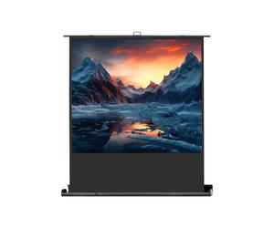 celexon Mobile Professional Plus Projector screen 200 x 150cm - 98"