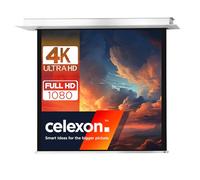 celexon Professional Plus Ceiling recessed Electric-Screen 135" | 240x240 cm 1:1 | electric 4K, Full-HD built-in installation with wall switch, for your projections | For mounting in the ceiling