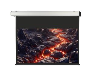 celexon Projector Screen Electric Expert XL 350 x 197 cm