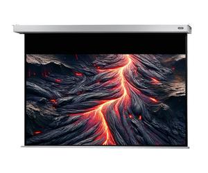 Celexon Projector screen Electric Professional Plus 220 x 124 cm