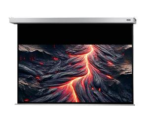 Celexon Projector Screen Electric Professional Plus 240 x 150 cm