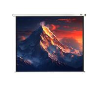 celexon Projector screen Manual Economy 200 x 150 cm - 98"