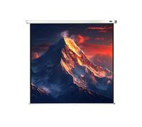 celexon Projector screen Manual Economy 220 x 220 cm - 122"