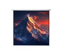 celexon screen Manual Economy 240 x 240 cm