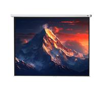 celexon Projector screen Manual Economy 280 x 210 cm - 138"
