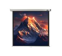 celexon screen Manual Professional 220 x 220cm