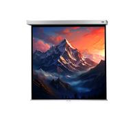 celexon Projector Screen Manual Professional Plus 160 x 160 cm - 89"