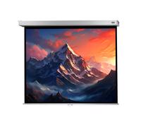 celexon Projector Screen Manual Professional Plus 180 x 135 cm - 89"