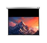 celexon screen Manual Professional Plus 200 x 113 cm - Slow retraction