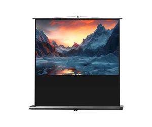 celexon Projector Screen Ultramobile Professional 200 x 125cm