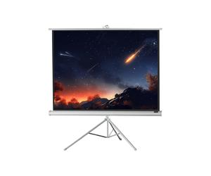celexon screen Tripod Economy Projector Screen 244 x 183 cm - white edition