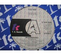 Celi Bee & Buzzy Bunch - Bee, Celi & Buzzy Bunch Boomerang 7" TK STKR7509 EX 1978 demo