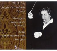 Celibidache, Sergiu - Art of-Volume. 6