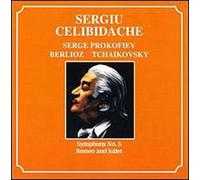 Celibidache Sergiu - Celibidache Boxed Set