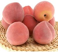 CELIKA Simulation vegetables and fruits, 6pcs Artificial Peach Fake Fruit Decoration Pink Lifelike Realistic Food Model for Home Kitchen Party Christmas Display (Color : Orange)
