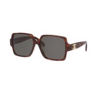 Celine Woman Sunglass Triomphe CL40316U - Frame color: Tortoise Black, Lens color: Grey