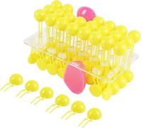 Cell Membrane Flow Mosaic Model Components Cell Submicroscopic Structure Model Biological Experimental Equipment Cell Sub-microstructure Model Nuclei Cytoplasm Anatomy Model