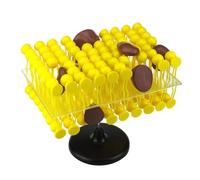 Cell Membrane Flow Mosaic Model Study Resources Anatomy Model,Cell Membrane Structure Anatomy Model -Cell Flow Mosaic Component -for Biological Teaching Demonstration