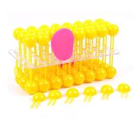Cell Membrane Fluid Mosaic Model Submicroscopic Structure Assembly With Nucleus & Cytoplasm Biology Anatomy Demonstration Kit For Classroom Lab Teaching & Exhibition