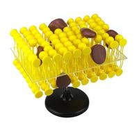 Cell Membrane Model, Fluid Mosaic Structure Anatomy Demonstration Kit for Biology Teaching and Science Classroom Study