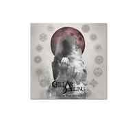 Cellar Darling - This Is The Sound - CD