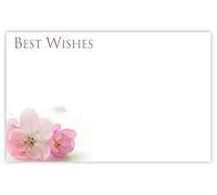 celloexpress Best Wishes (Pink Prunus) Flower Message Cards - 60mm x 90mm - Everyday Occasions Florist Card Gift Notes (Pack of 10)