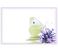 celloexpress Blank (Butterfly on Lavender) Flower Message Cards - 90mm x 125mm - Blank Florist Card Gift Notes (Pack of 12)