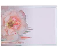 celloexpress Blank (China Rose) Flower Message Cards - 90mm x 125mm - Blank Florist Card Gift Notes (Pack of 6)