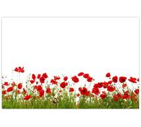 celloexpress Blank (Poppy Field) Flower Message Cards - 60mm x 90mm - Blank Florist Card Gift Notes (Pack of 50)