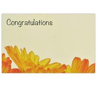 celloexpress Congratulations (Orange Daisies) Flower Message Cards - 60mm x 90mm - Everyday Occasions Florist Card Gift Notes (Pack of 10)