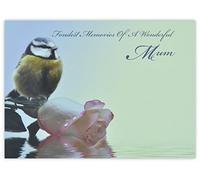 celloexpress Fondest Memories Mum (Blue Tit & Rose) Flower Message Cards - 90mm x 125mm - Bereavement Florist Card Sympathy Condolences Notes (Pack of 6)