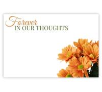 celloexpress Forever in our Thoughts (Orange Daisies) Flower Message Cards - 60mm x 90mm - Bereavement Florist Card Sympathy Condolences Notes (Pack of 10)