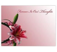 celloexpress Forever in Our Thoughts (Pink Lilies) Flower Message Cards - 90mm x 125mm - Bereavement Florist Card Sympathy Condolences Notes (Pack of 12)