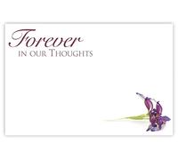celloexpress Forever in Our Thoughts (Purple Lily) Flower Message Cards - 60mm x 90mm - Bereavement Florist Card Sympathy Condolences Notes (Pack of 20)