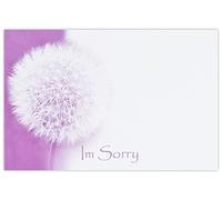 celloexpress I'm Sorry (Dandelion) Flower Message Cards - 60mm x 90mm - Everyday Occasions Florist Card Gift Notes (Pack of 10)