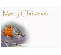 celloexpress Merry Christmas (Robin) Flower Message Cards - 60mm x 90mm - Christmas Florist Card Gift Notes (Pack of 50)