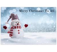 celloexpress Merry Christmas to All (Snowman) Flower Message Cards - 55mm x 85mm - Christmas Florist Card Gift Notes (Pack of 20)