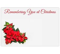 celloexpress Remembering You Christmas (Poinsettia) Flower Message Cards - 60mm x 90mm - Christmas Florist Card Gift Notes (Pack of 100)