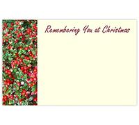 celloexpress Remembering You Christmas (Red Berries) Flower Message Cards - 60mm x 90mm - Christmas Florist Card Gift Notes (Pack of 20)