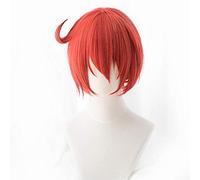 Cells at Work Cosplay Wig Erythrocyte Red Blood Cell Neutrophil Platelet Synthetic Hataraku Saibou Cosplay Wigs +wig cap