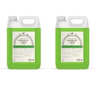 Celtic Clean - Washing Up Liquid - Apple - 5 Litre (Pack of 2)