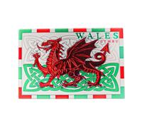 Celtic Dragon Magnet | Intricate Welsh Dragon Design with Celtic Knots | Symbol of Heritage & Strength | Powerful Souvenir or Gift from Wales