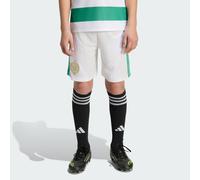 Celtic FC 26/27 Home Short Kids