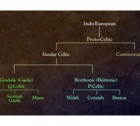 Celtic Languages in the Ancient World