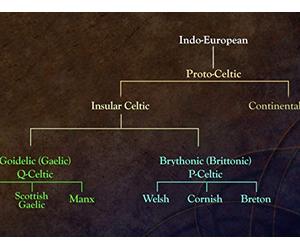Celtic Languages in the Ancient World