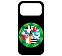 Celtic Nations Flags Wheel, Cultural Heritage Circle Design Case for iPhone 17 Pro Max