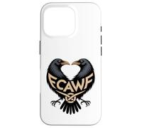 Celtic Raven F-CAW-F Viking & Pagan Knotwork Norse Mythology Case for iPhone 16 Pro